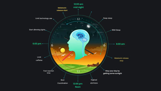 How circadian rhythm regulates sleep